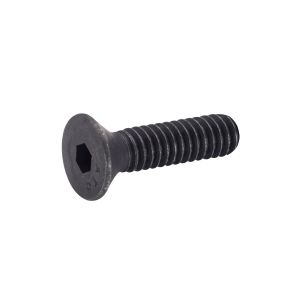 Troy Bilt .250" Cap Screw
.250"-20 x 1"
OEM# 9592

Comaptible with 451-TROY-4250 I 451-TROY-4500

1/4"-20 x 1", Flat, Socket Head Cap Screw, Alloy Steel, Steel, Black Oxide Finish