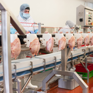 Food Processing Plant