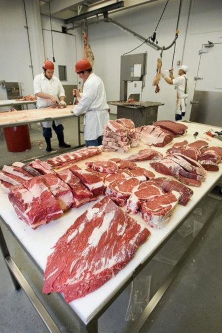 Beef and pork processing blades and knives
